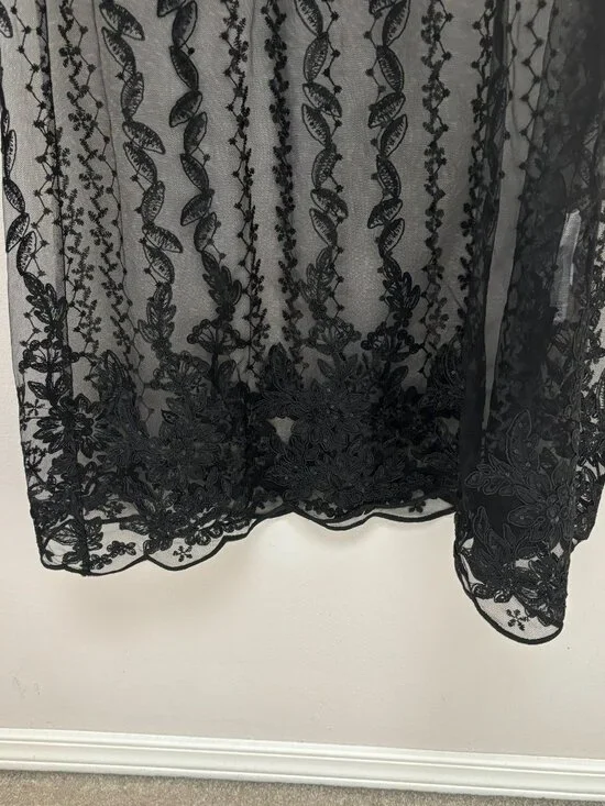 Zara Black Embroidered Lace Sheer Midi Dress Long Sleeve NWT M - Picture 5 of 6